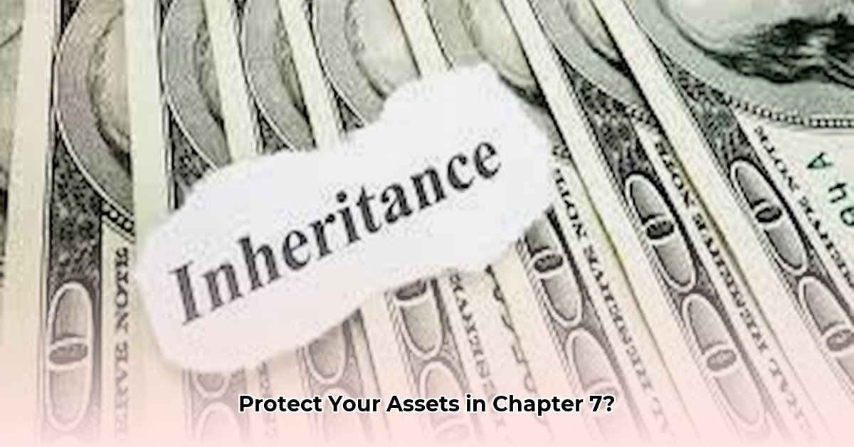hiding-cash-during-chapter-7